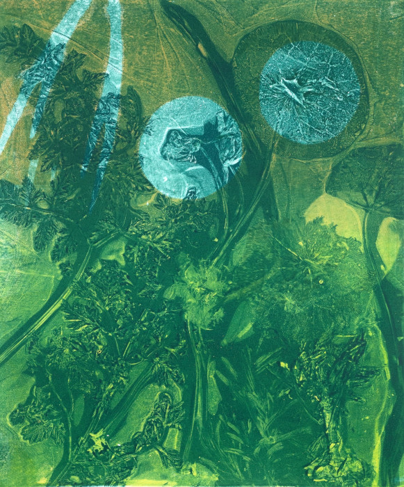 Adjoa Jackson Burrowes