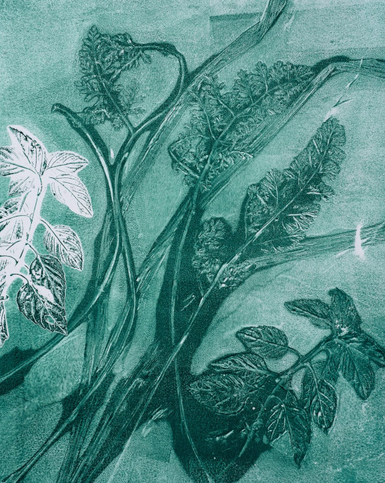 Adjoa Jackson Burrowes